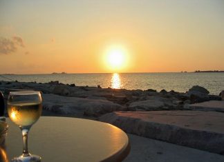 Viene dal Garda ed è il più esportato dei vini lombardi: il Lugana! Lugana