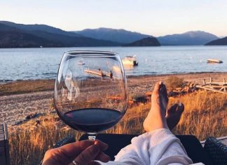 TRE VINI ESTIVI PER TRE LIBRI: LE VINO-LETTURE DI VINO75