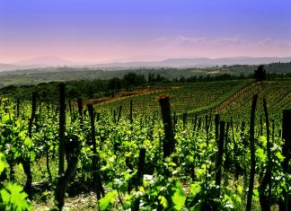 Franciacorta: le bollicine più eleganti d’Italia in un festival