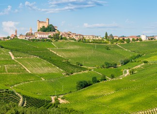 Cosa significa “Cru”? cru serralunga alba