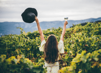 Dove è nata la Falanghina?