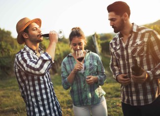 Come si degusta un vino? Guida alla degustazione