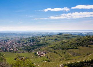 Come nasce il vino amarone?