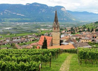 Dov’è nato il Gewürztraminer?