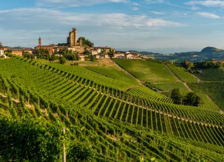 “Esiste” il vino bianco in Piemonte?