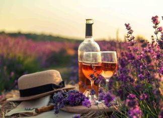 I rosé di Provenza: quali sono le caratteristiche?
