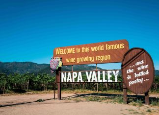 Vini californiani: quali sono i più amati?