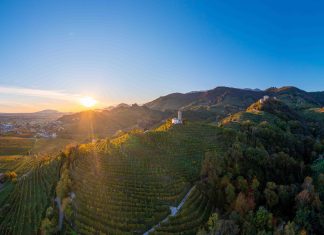 Quali sono i vini bianchi del Veneto?