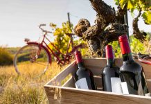 Quali sono i vini francesi che dovresti conoscere?