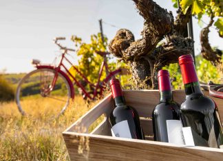 Quali sono i vini francesi che dovresti conoscere?