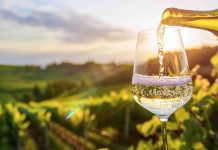 Quali sono i sentori dei vini aromatici?