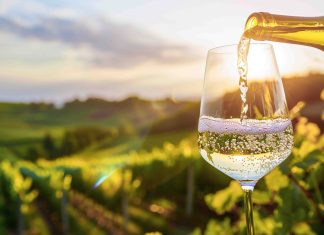 Quali sono i sentori dei vini aromatici?
