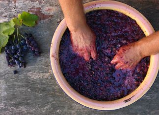 Cos’è la fermentazione alcolica del vino?