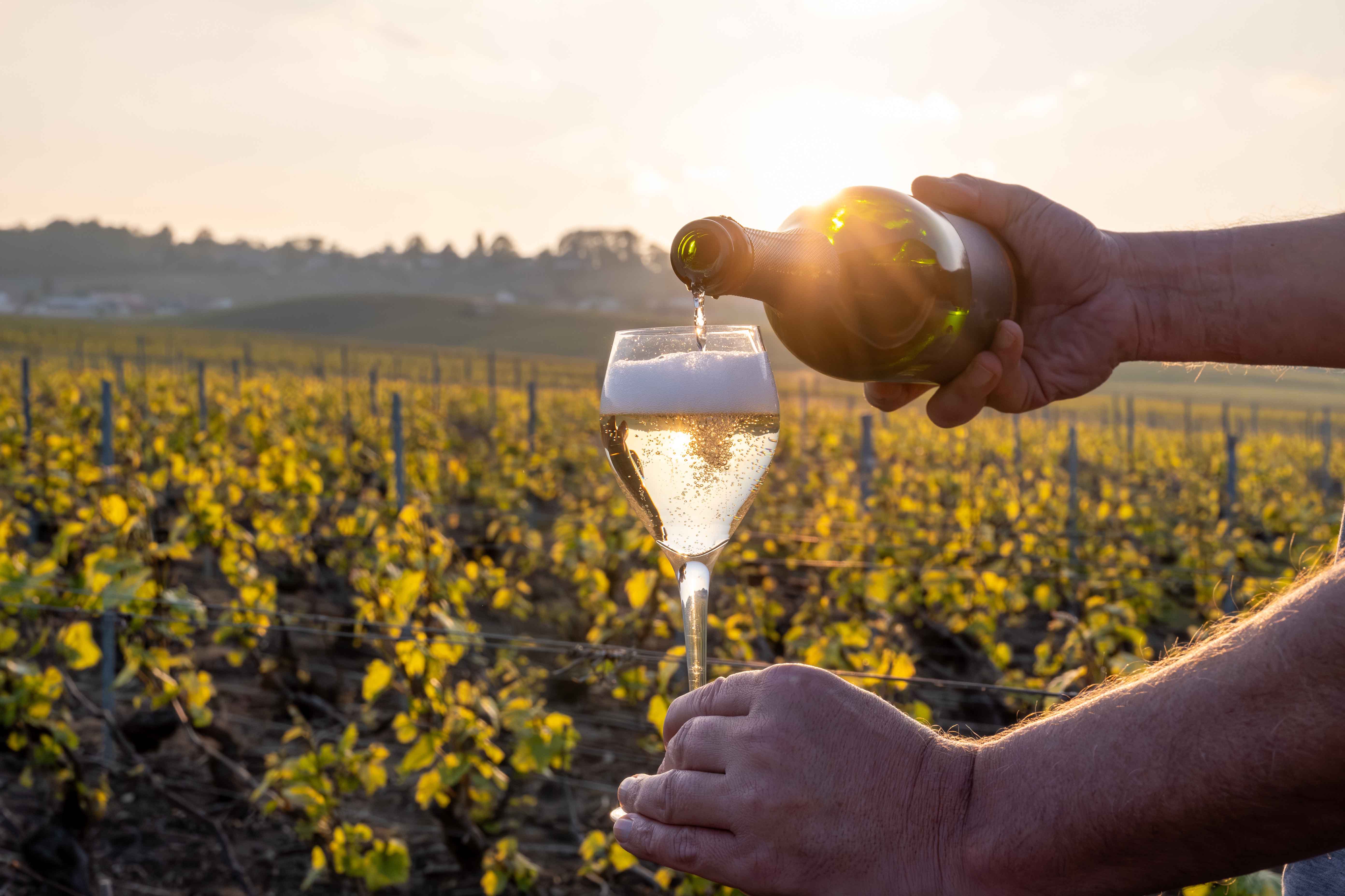 foto copertina blog vini frizzanti italiani