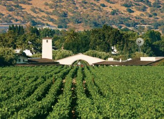 Robert Mondavi: la storia dell’uomo che ha rivoluzionato il vino americano