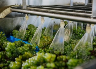 Ca’ del Bosco: la cantina che ha portato il concetto di SPA nel mondo del vino