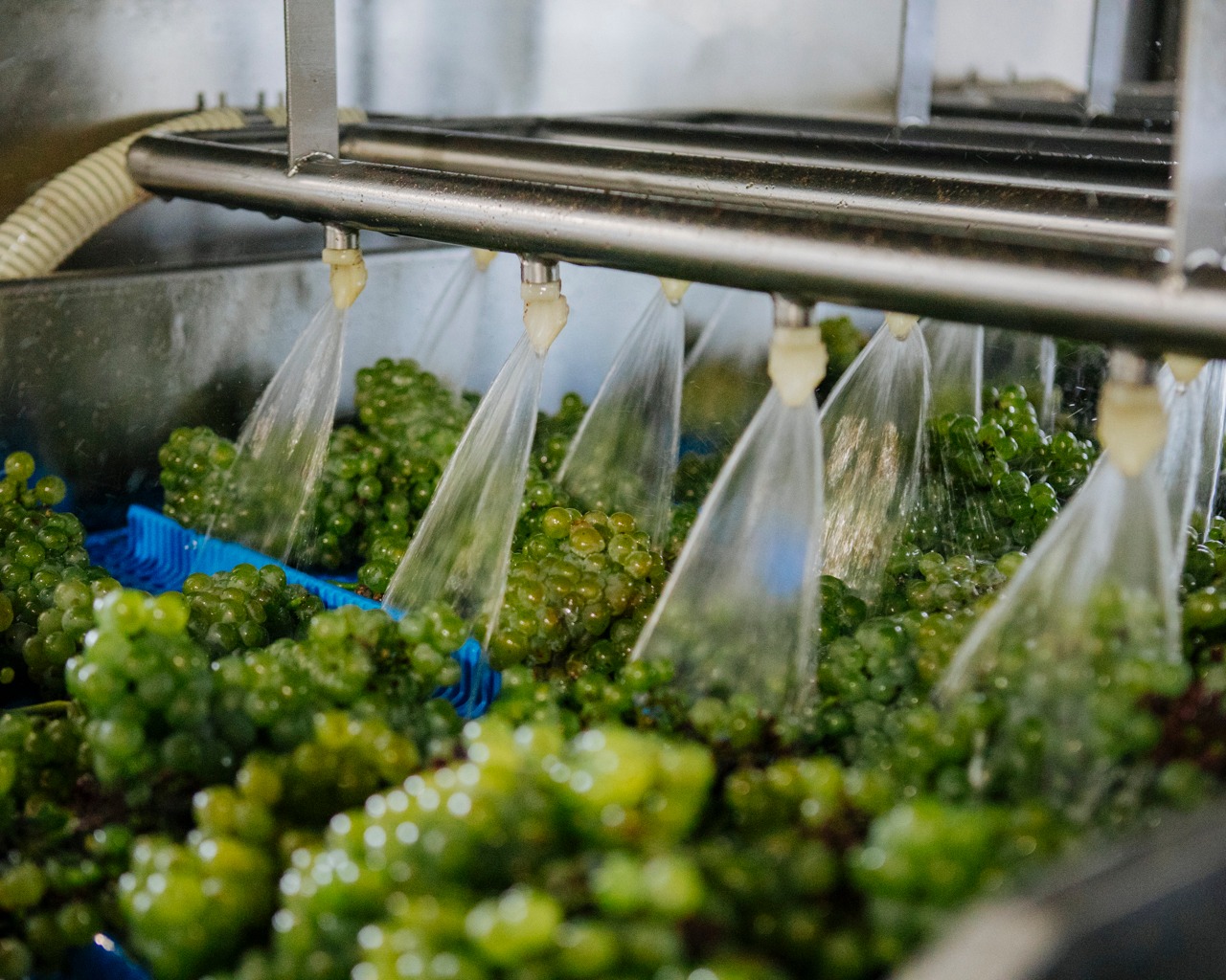 459948545_866661508988070_2769035487399157152_n