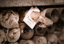 5 anledningar till att köpa dyrare viner