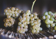 Är toskanskt vitt det nya röda?