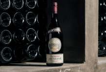 Amarone della Valpolicella: la storia dell’errore che ha cambiato il vino italiano