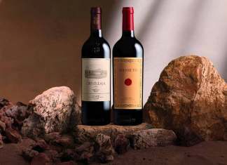 Due fratelli fuoriclasse: Ornellaia e Masseto