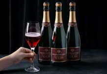 Glöm blanc de blancs – nu kommer noir de noirs: en röd champagne