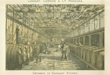 Come nasce il Madeira: il vino che ha viaggiato per diventare unico