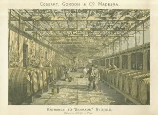 Come nasce il Madeira: il vino che ha viaggiato per diventare unico