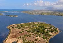 Mozia: l’isola siciliana dove archeologia, mare e vigne si incontrano