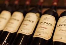 Pinotage: il vitigno simbolo del Sudafrica nato da un esperimento
